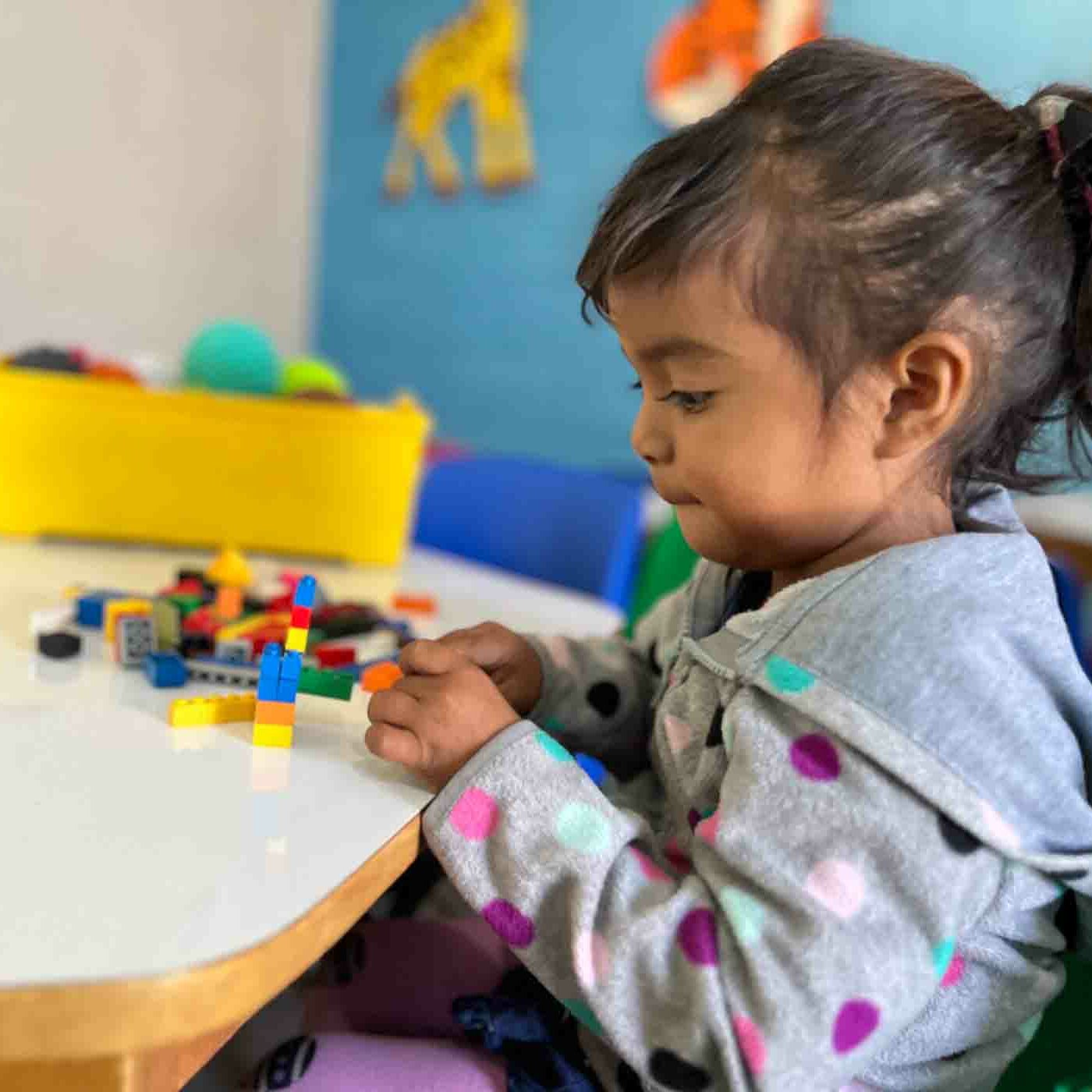 Lemonade International Education Lemonade International