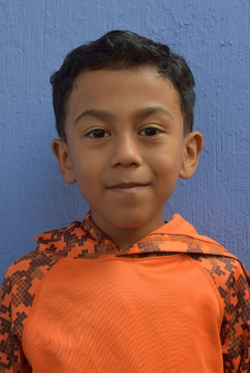 Allan